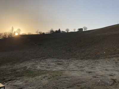 Vinarija Tomislava Tolušića