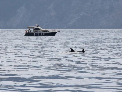 Budućnost hrvatskog turizma