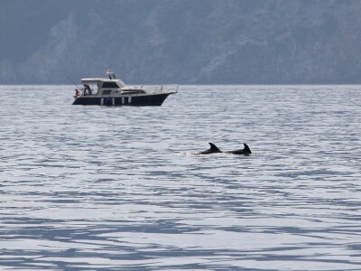 Budućnost hrvatskog turizma