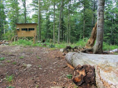 Budućnost hrvatskog turizma