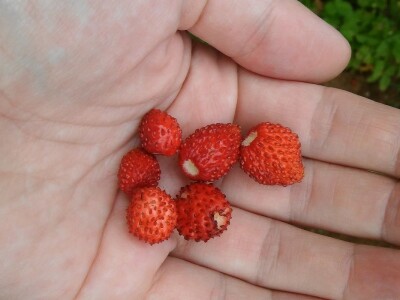 Budućnost hrvatskog turizma