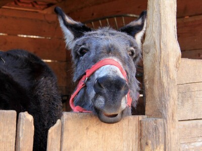 Budućnost hrvatskog turizma
