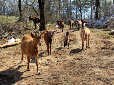 Budućnost hrvatskog turizma