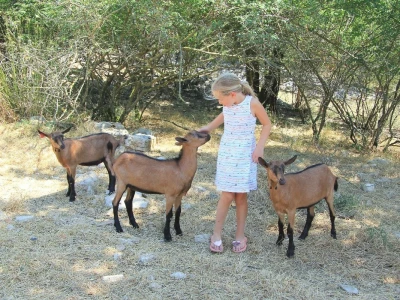 Budućnost hrvatskog turizma