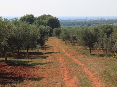 Budućnost hrvatskog turizma