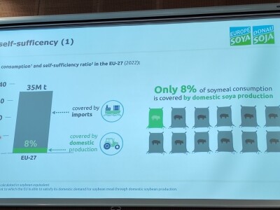 Budućnost proizvodnje i tržišta soje