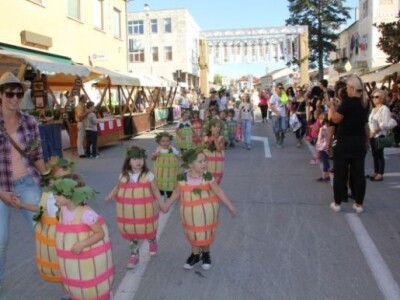 Dani grožđa u Bujama 2015