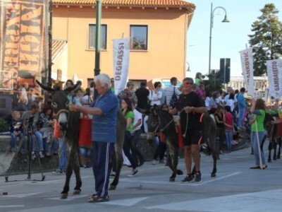 Dani grožđa u Bujama 2015