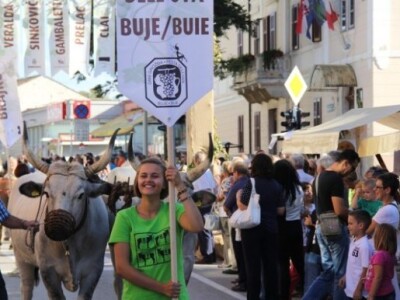 Dani grožđa u Bujama 2015