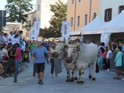 Dani grožđa u Bujama 2015