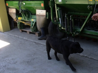 Ivan i Krunoslav Pavlek Ivan i Krunoslav Pavlek