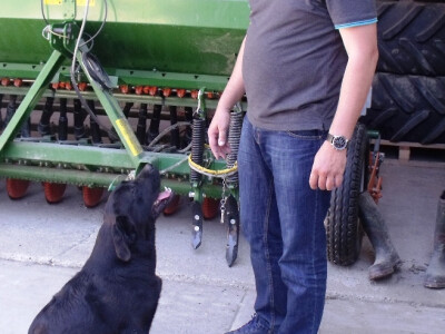 Ivan i Krunoslav Pavlek Ivan i Krunoslav Pavlek