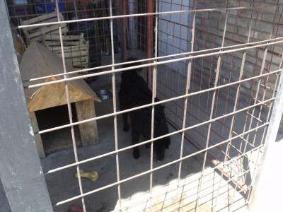 Josip Margić Josip Margić