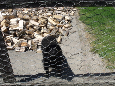 Zadružna kuća i dom Ivice Ćosića Bukvina