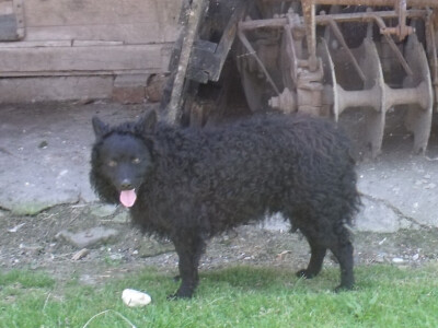 Zadružna kuća i dom Ivice Ćosića Bukvina