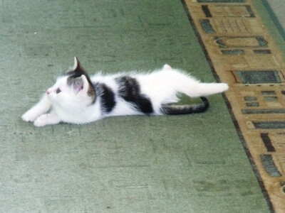 Zadružna kuća i dom Ivice Ćosića Bukvina