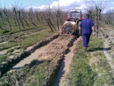 Ovo je samo jedan od problema u voćarstvu Ovo je samo jedan od problema u voćarstvu