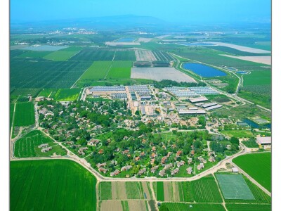 Bumbari oprašivači