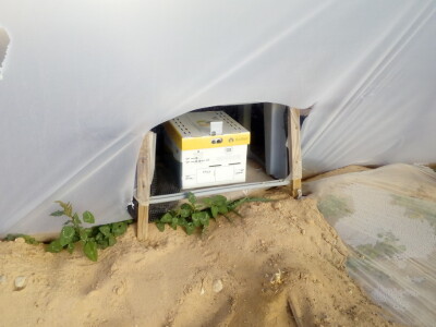 Bumbari oprašivači