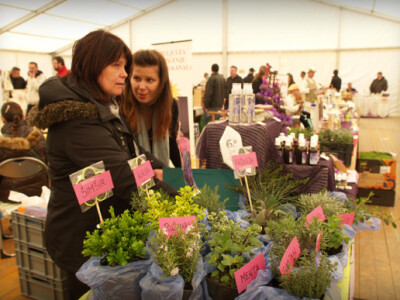 Bistranski rasadničari Špoljar osim lavande nude i druge egzote