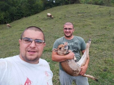 Bušama spasili porodično imanje