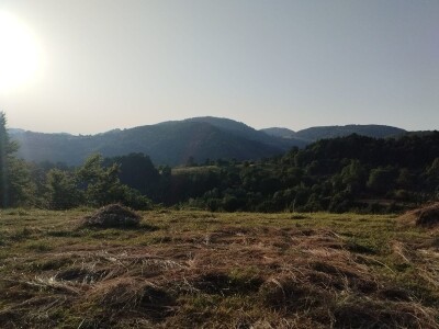 Bušama spasili porodično imanje