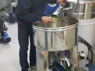 POVENJAK 2019 - Mario Buterin pobjedio dr. Vlatković maslinarsku elitu Istre POVENJAK 2019 - Mario Buterin pobjedio dr. Vlatković maslinarsku elitu Istre