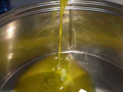 POVENJAK 2019 - Mario Buterin pobjedio dr. Vlatković maslinarsku elitu Istre POVENJAK 2019 - Mario Buterin pobjedio dr. Vlatković maslinarsku elitu Istre