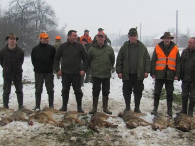 Stanovnici posavskih sela kažu da je po neći jezivo slušati zavijanje čagljeva