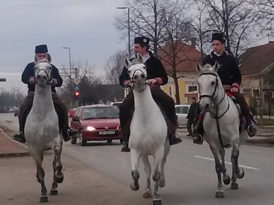 Konji bijelci na privlačkom pokladnom jahanju