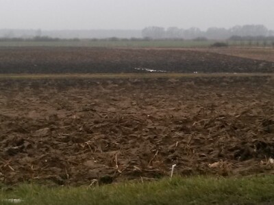 Izorane njive u okolici Gunje