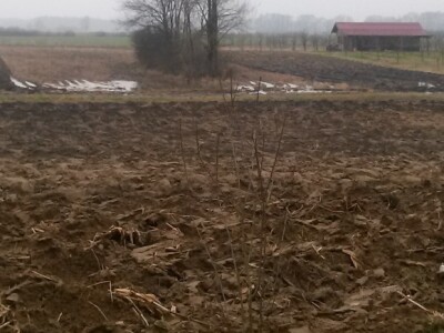 Đurići - na njivama leži voda