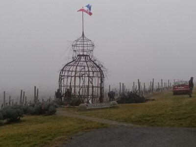 Prepoznatljiv orjentir na Vukovu Prepoznatljiv orjentir na Vukovu