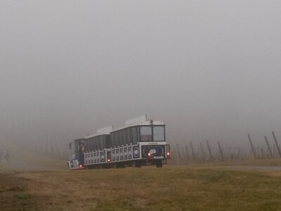 ...ali i turističkim vlakićem. ...ali i turističkim vlakićem.