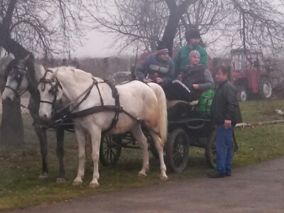 Na Vukovo se moglo konjima u ugodnoj kočiji Na Vukovo se moglo konjima u ugodnoj kočiji