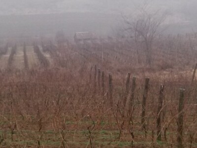 "Kupit ću si malu kućicu u Srijemu..." "Kupit ću si malu kućicu u Srijemu..."