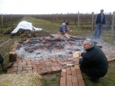 Što ispečeš, to ćeš i pojesti