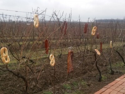 Da se očuva tradicija