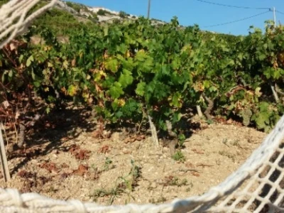 Zaraće