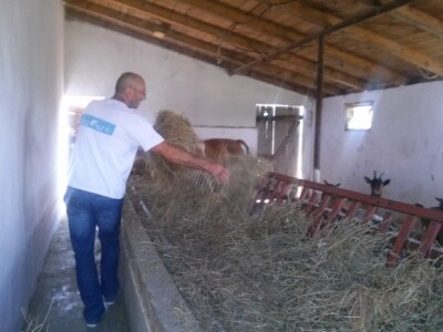 Stado valja nahraniti