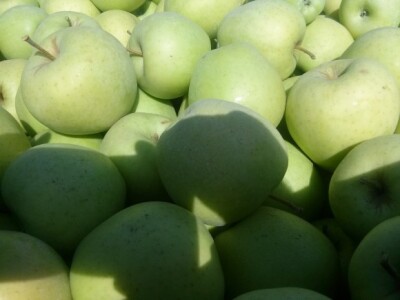 Zlatni deliišes dobro urodio