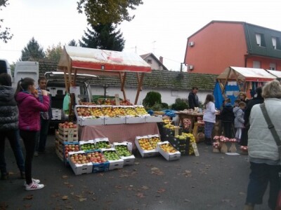 Jabukini dani u Đakovu