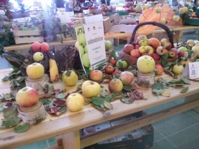 Jabukini dani u Đakovu