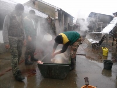 Svinjokolja kod Jakobovića u Vođincima