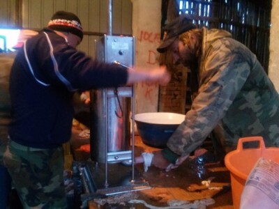 Svinjokolja kod Jakobovića u Vođincima