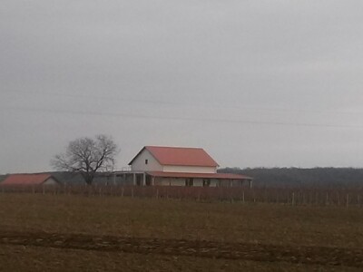 Imanje usred vinograda