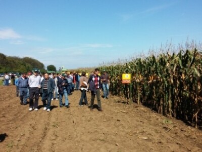 BC kukuruzi u Lovasu