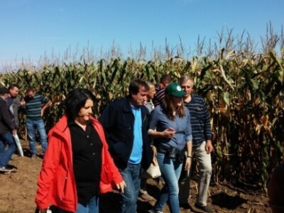 BC kukuruzi u Lovasu