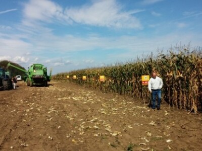 BC kukuruzi u Lovasu