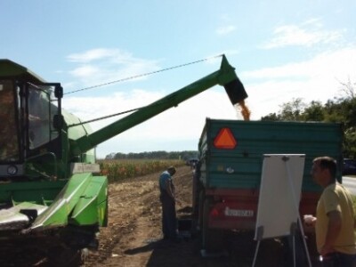 BC kukuruzi u Lovasu